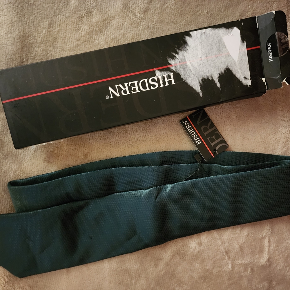 Hisdern Solid Dark Teal Men's Tie